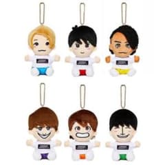 Aぇ! groupちびぬい（6種セット） - メルカリ