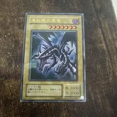 2026年最新】真紅眼の黒竜 PG-09の人気アイテム - メルカリ