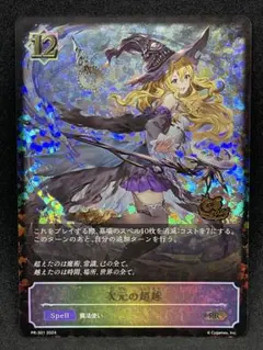 2026年最新】次元の超越 プロモの人気アイテム - メルカリ