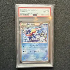 2026年最新】ゲッコウ psa10の人気アイテム - メルカリ