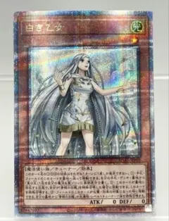 2026年最新】白き乙女 25の人気アイテム - メルカリ