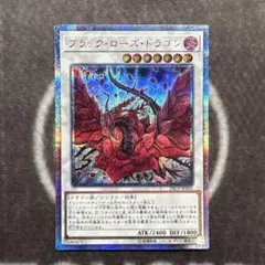 2026年最新】ブラックローズ シークレットの人気アイテム - メルカリ