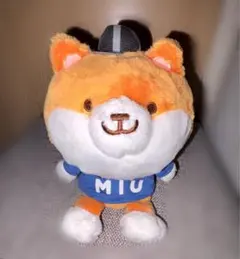 2026年最新】ポリまる ぬいぐるみの人気アイテム - メルカリ