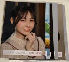 2026年最新】向井純葉生写真の人気アイテム - メルカリ