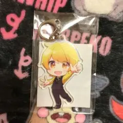 2026年最新】タイトル：AMPTAK COLORS キーホルダー・アクリル