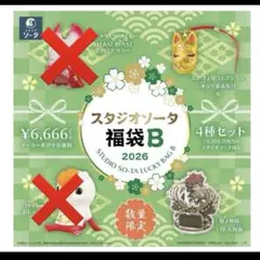 2026年最新】スタジオソータ 福袋の人気アイテム - メルカリ