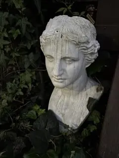 2026年最新】石膏像 ヴィーナスの人気アイテム - メルカリ