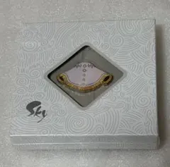 2026年最新】sky ピンバッジ 未連携の人気アイテム - メルカリ