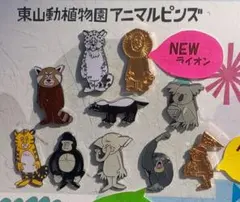 2026年最新】東山動物園 花井祐介の人気アイテム - メルカリ