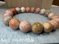 2026年最新】フォッシルコーラルの人気アイテム - メルカリ