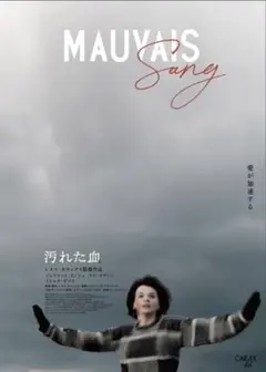 2026年最新】カラックス ポスターの人気アイテム - メルカリ