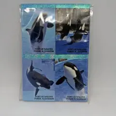 2026年最新】名古屋港水族館 アースの人気アイテム - メルカリ