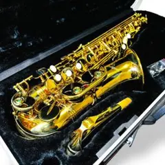 2026年最新】antigua 3100の人気アイテム - メルカリ