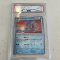 2026年最新】カメール マスターボール psa10の人気アイテム - メルカリ