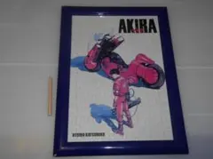 2026年最新】akira ジグソーパズルの人気アイテム - メルカリ