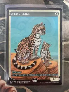 2026年最新】オセロットの群れの人気アイテム - メルカリ