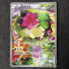 2026年最新】シェイミ 004/036の人気アイテム - メルカリ