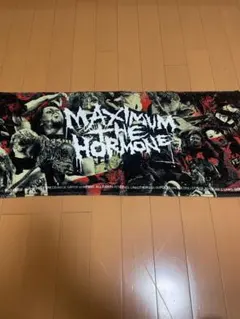 2026年最新】マキシマムザホルモン タオルの人気アイテム - メルカリ