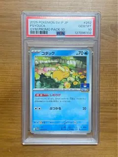 2026年最新】コダック 【SV-P 262/【SV-P】の人気アイテム - メルカリ