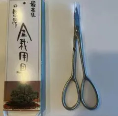 2026年最新】昌国 盆栽の人気アイテム - メルカリ