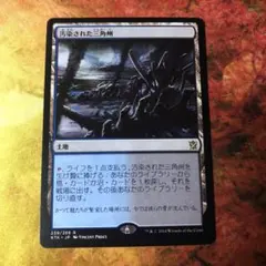 2026年最新】フェッチランドの人気アイテム - メルカリ