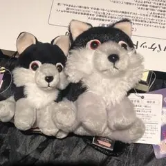 2026年最新】もふっとオオカミの人気アイテム - メルカリ