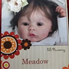 2026年最新】リボーン ドールの人気アイテム - メルカリ