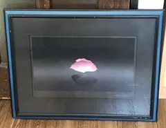 2026年最新】井上公三の人気アイテム - メルカリ