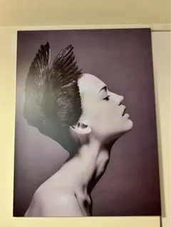 2026年最新】ボーコンセプト アートの人気アイテム - メルカリ