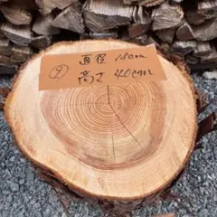 2026年最新】檜切り株の人気アイテム - メルカリ