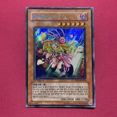 2026年最新】トゥーンブラックマジシャンガール 韓国の人気アイテム