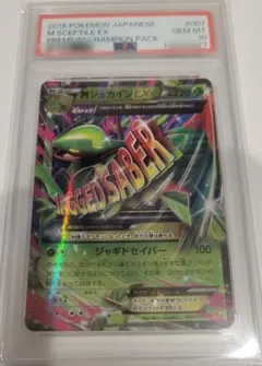 2026年最新】MジュカインEX psa10の人気アイテム - メルカリ