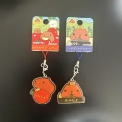 2026年最新】カピバラ ご当地の人気アイテム - メルカリ