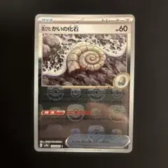 2026年最新】貝の化石 マスターボールの人気アイテム - メルカリ