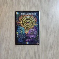 2026年最新】ペテンシーの人気アイテム - メルカリ