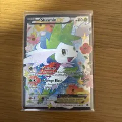 2026年最新】シェイミ 英語の人気アイテム - メルカリ