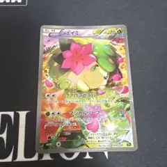 2026年最新】シェイミ cp5の人気アイテム - メルカリ