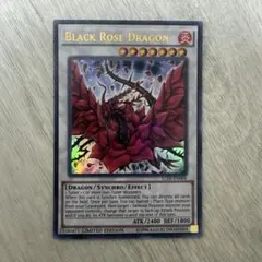 2026年最新】ブラックローズドラゴン レリーフ 英語の人気アイテム