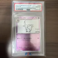 2026年最新】yu nagaba エーフィの人気アイテム - メルカリ