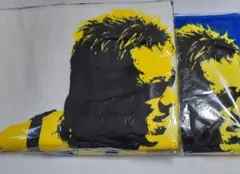 2026年最新】長渕 タオル 桜島の人気アイテム - メルカリ