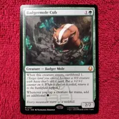 2026年最新】アナグマモグラの仔の人気アイテム - メルカリ