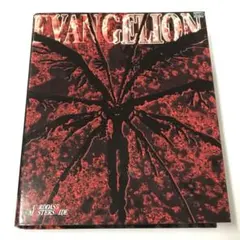 2026年最新】エヴァ カードダスマスターズワイドの人気アイテム - メルカリ