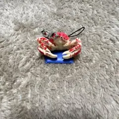 2026年最新】海遊館 タカアシガニの人気アイテム - メルカリ