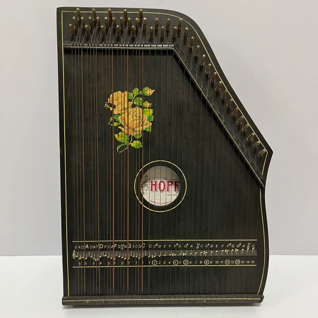 2026年最新】チター 楽器の人気アイテム - メルカリ