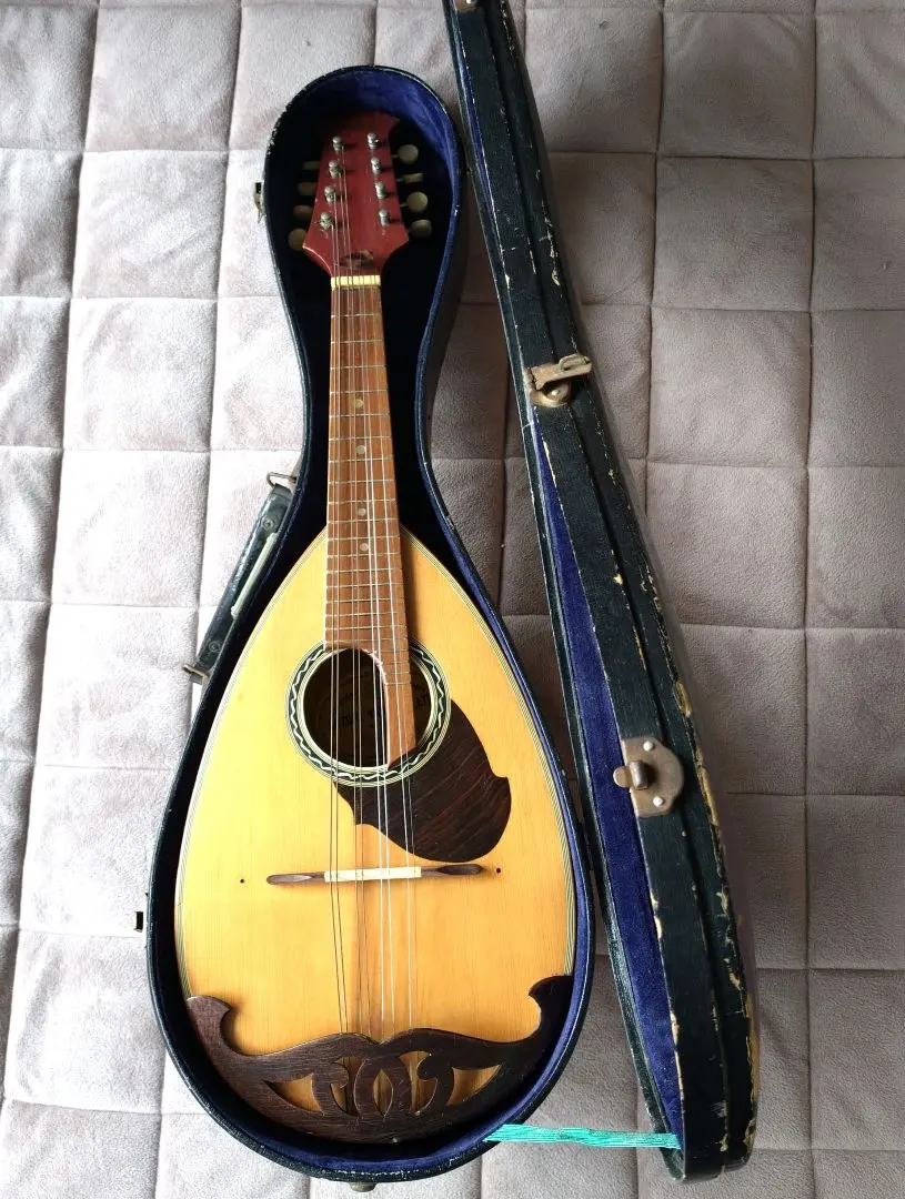 2026年最新】SUZUKI マンドリン m-210の人気アイテム - メルカリ