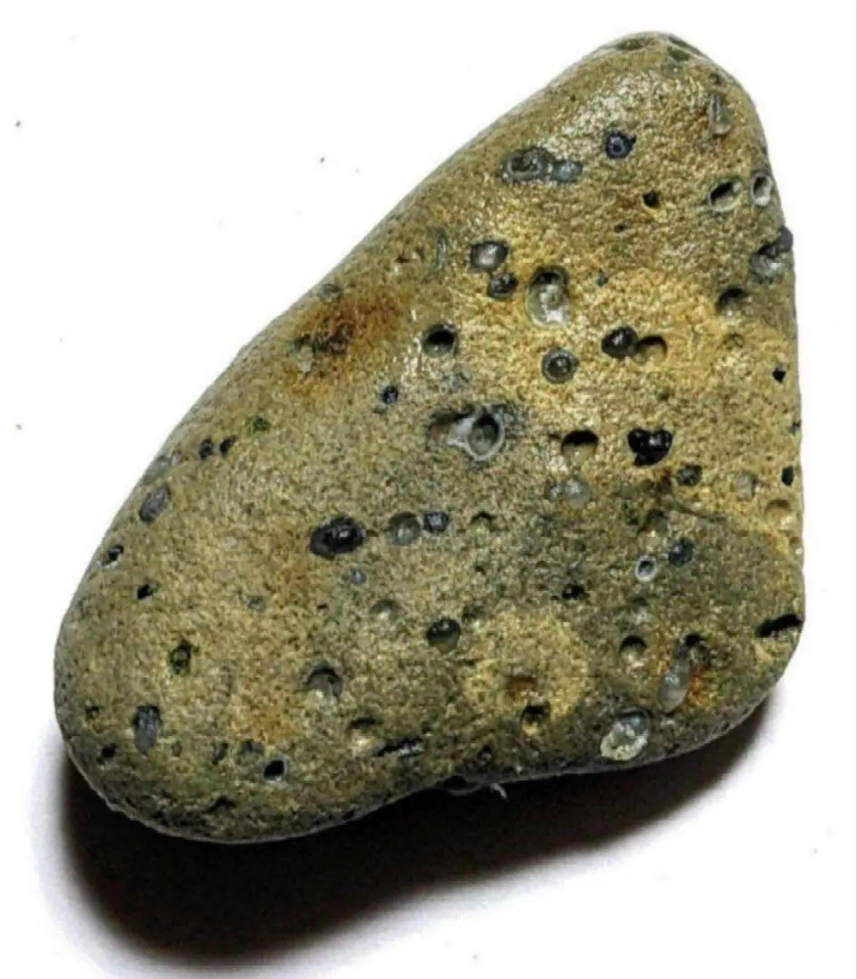 2026年最新】舎利母石の人気アイテム - メルカリ