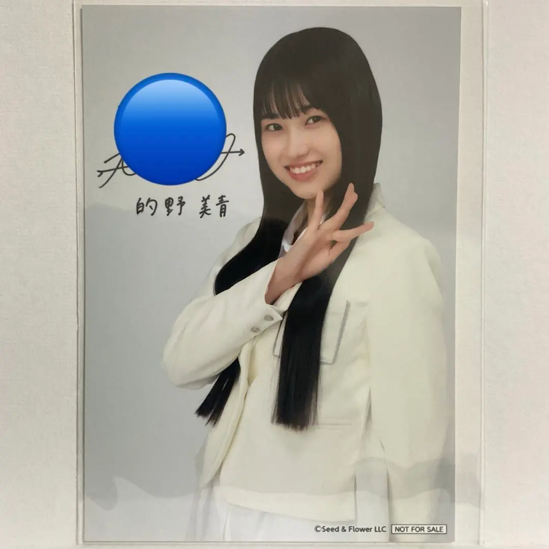 2026年最新】的野美青 サインの人気アイテム - メルカリ