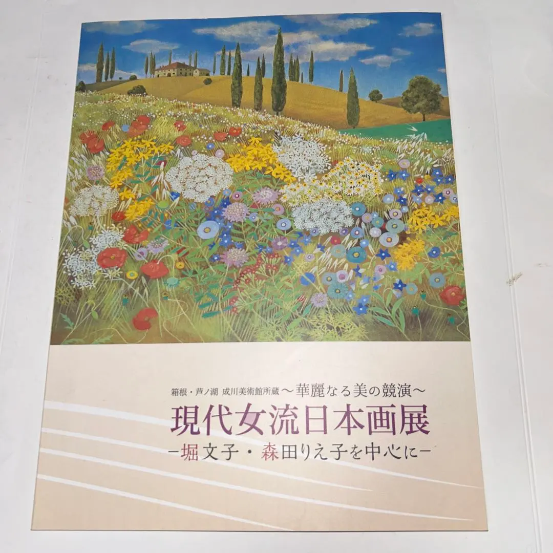 2026年最新】成川美術館の人気アイテム - メルカリ