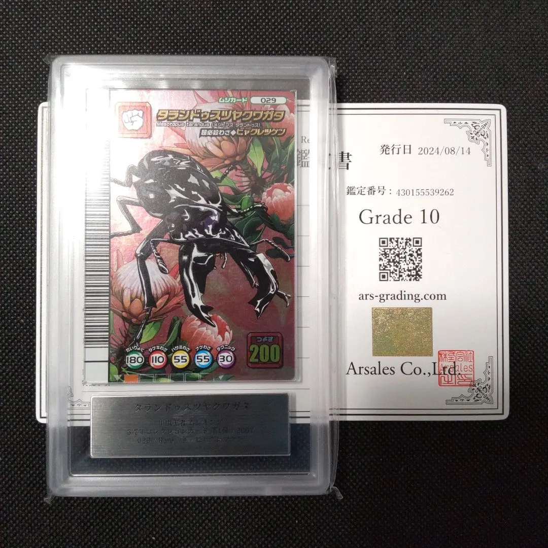 2026年最新】タランドゥスツヤクワガタ 5周年の人気アイテム - メルカリ