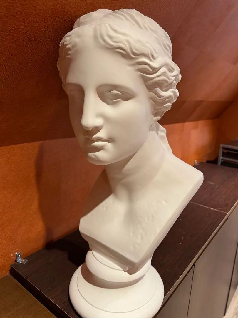 2026年最新】ミロのヴィーナス 石膏像の人気アイテム - メルカリ
